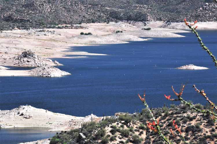 bartlett lake
